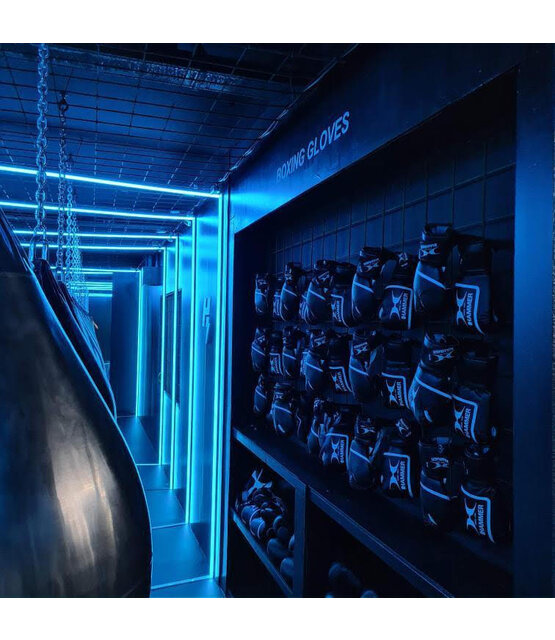 PRO RGBW LED strip 19,2W 1050LM 60LED p/m  24VDC IP20 10mm - 5 meter