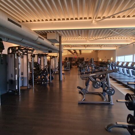 Unieke samenwerking voor complete lichtoplossingen NEW STYLE sportscholen