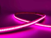 PRO COB LED strip Roze - Pink 8W 1050LM 480 LED’s p/m 24VDC IP20 - 5 meter