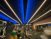 PRO LUMEN lichtopbrengst COB LED strip 2700K extra warm wit 14W 2500LM 528LED p/m 24VDC IP20 - 5 meter