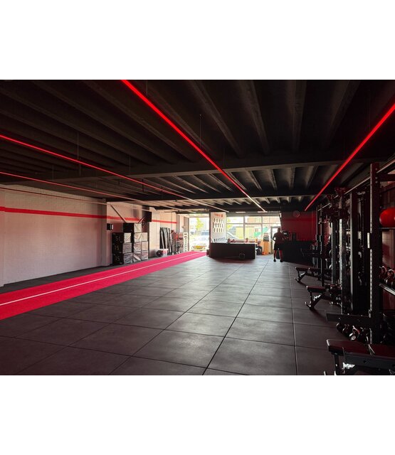 PRO RGBWW - 2700K LED strip 19,2W 1250LM 24VDC IP20 10mm - 10 meter