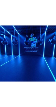 PRO LUMEN RGBWW LED strip 19,2W 1250LM 60LED p/m  1250LM 24VDC IP20 10mm