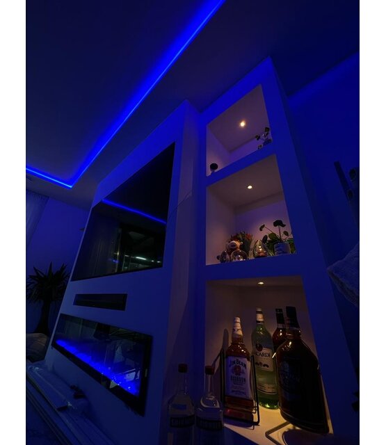 PRO LUMEN RGBWW LED strip 19,2W 1250LM 60LED p/m  1250LM 24VDC IP20 10mm