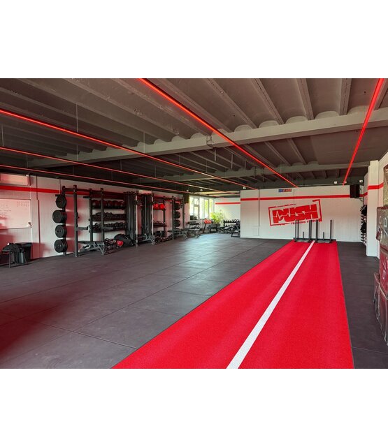 PRO LUMEN RGBWW LED strip 19,2W 1250LM 60LED p/m  1250LM 24VDC IP20 10mm