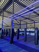 PRO COB LED strip Blauw 11W 1180LM 480 LED’s p/m 24VDC IP20 - 5 meter