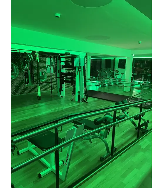 PRO COB LED strip Groen 8W 1050LM 480 LED’s p/m 24VDC IP20 - 5 meter