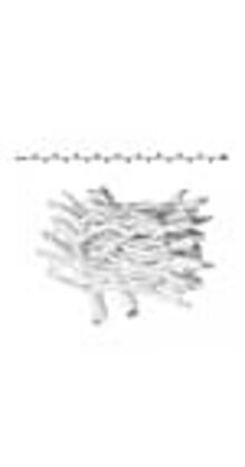 LED kerstlichtsnoer 6 meter – Koud wit 6500K – Wit snoer – 230V systeem (IP65)