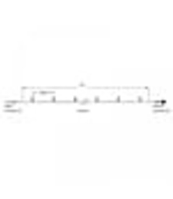 LED kerstlichtsnoer 6 meter – Koud wit 6500K – Wit snoer – 230V systeem (IP65)