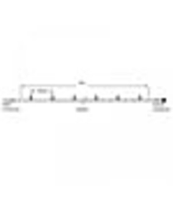 LED kerstlichtsnoer 10 meter – Warm wit 3000K – Zwart snoer – 230V systeem (IP65)