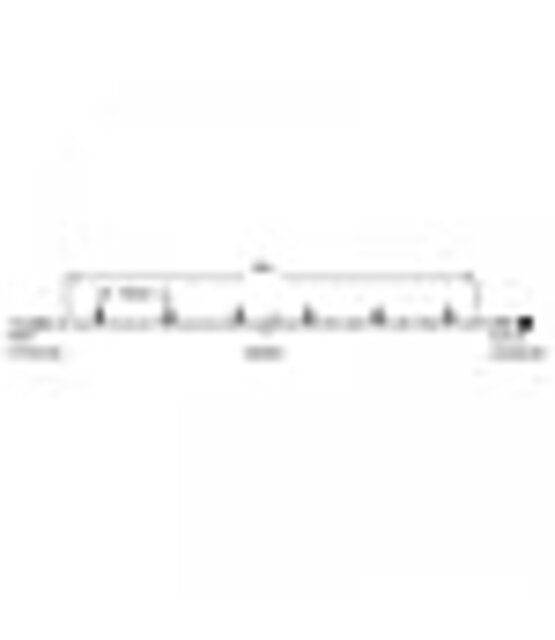 LED kerstlichtsnoer 10 meter – Koud wit 6500K – Wit snoer – 230V systeem (IP65)