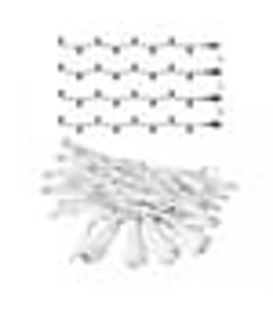 LED Eindstuk Verlichting – 4x0,8m | 3000K Warm Wit | Wit Snoer | 230V IP65