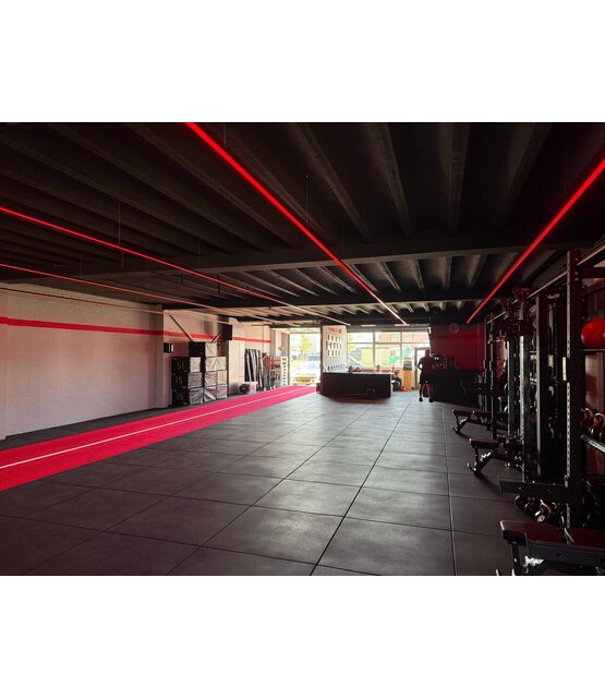 PRO LUMEN RGB LED strip 14.4W 1050LM 96LED p/m 48VDC IP20 12mm - 20 meter