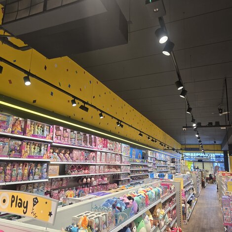 Compleet lichtproject Intertoys Beverwijk - LED-gigant.nl, Intertoys en Future Electric
