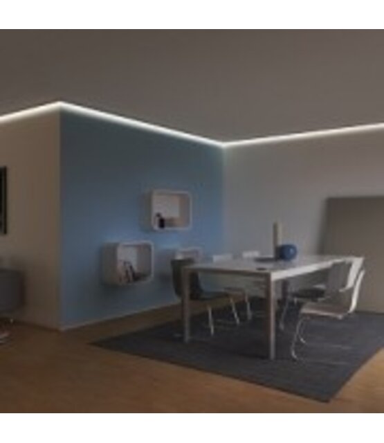 PRO LUMEN HIGH OUTPUT LED strip dual white 2200K ~ 6000K 32W 4000LM 224LED p/m 24VDC IP20 - 5 meter