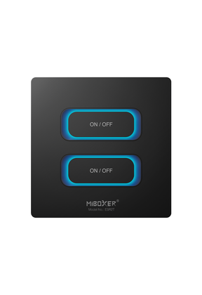 Draadloos 2 GANG Panel Remote