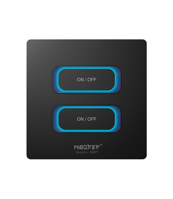 2 GANG Remote ESR2T