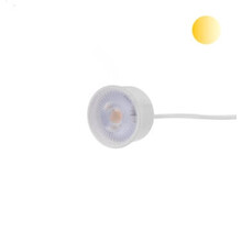 LED-Spot WIT 50mm - WIT - 5W - 38° - 2000/2700K  Dim to Warm