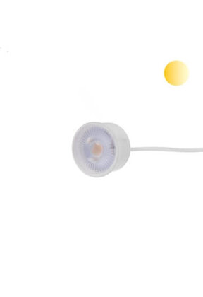 LED-Spot WIT 50mm - WIT - 5W - 38° - 2000/2700K  Dim to Warm