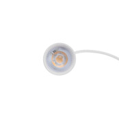 LED Spot dimbaar - 50mm-White-5W-38°-2700K