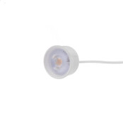 LED Spot dimbaar - 50mm-White-5W-38°-2700K