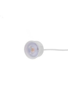LED Spot dimbaar - 50mm-White-5W-38°-2700K