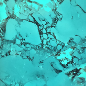 Flexibel LED sheet - 288 LED - RGBWW - Dimbaar - 24 volt IP20 - 49cm x 24,5 cm- Koppelbaar LED Sheet