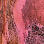 Flexibel LED sheet - 288 LED - RGBWW - Dimbaar - 24 volt IP20 - 49cm x 24,5 cm- Koppelbaar LED Sheet