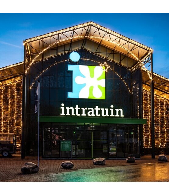 LED kerstlichtsnoer 6 meter – Warm wit 2400K + flits – Wit snoer – 230V systeem (IP65)