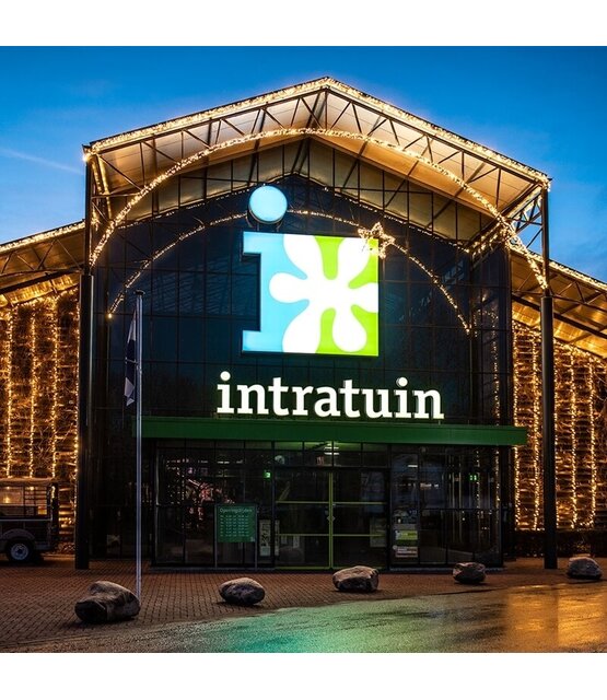 LED kerstlichtsnoer 3 meter – Warm wit 2400K + flits – Wit snoer – 230V systeem (IP65)