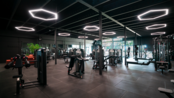 PRO LUMEN lichtopbrengst COB LED strip 4000K natuurlijk wit 14W 2500LM 528LED p/m 24VDC IP20 - 5 meter