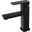 SFT-products SFT Products Zwarte Wastafelkraan Guildford