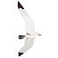 Rhombus Rhombus Seagull