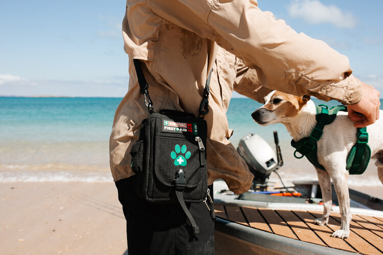 Survival Pet First Aid KIT