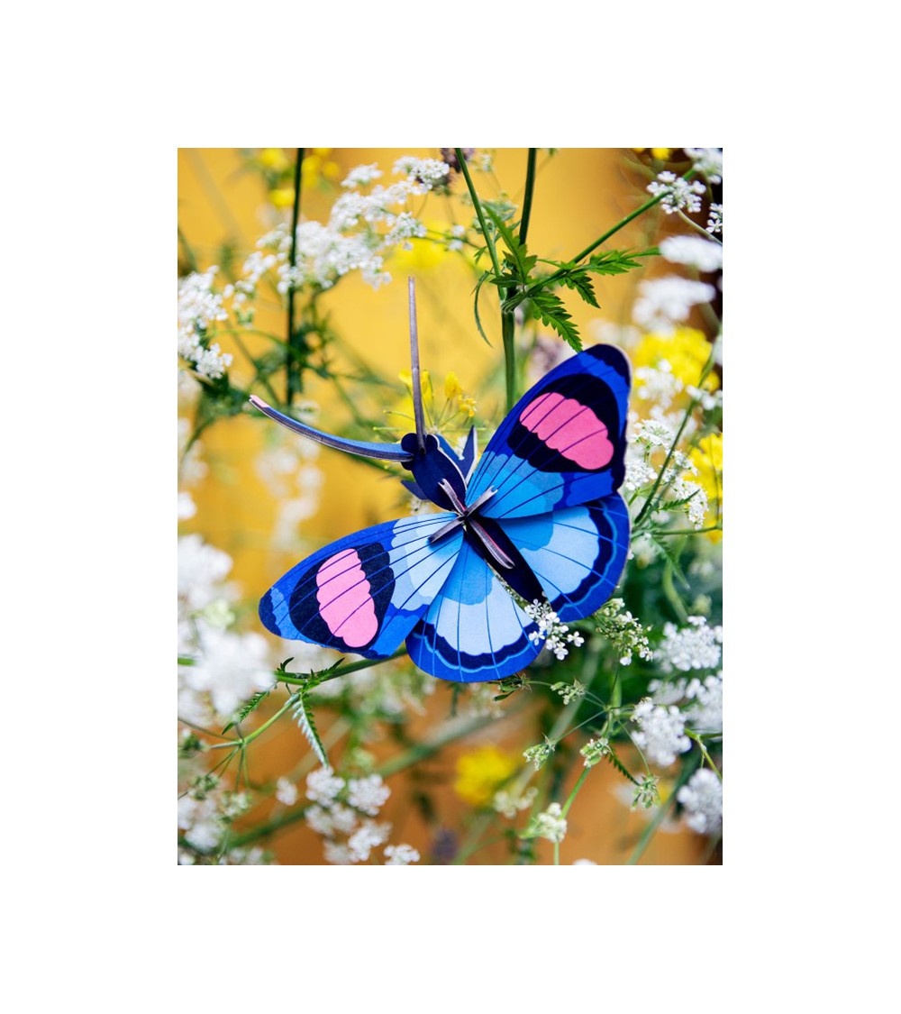 Studio Roof Studio Roof Peacock Butterfly