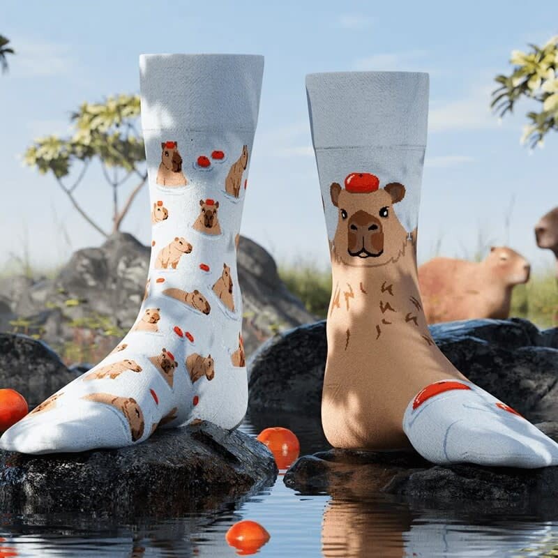 Many Mornings Many Mornings Capybara Socks