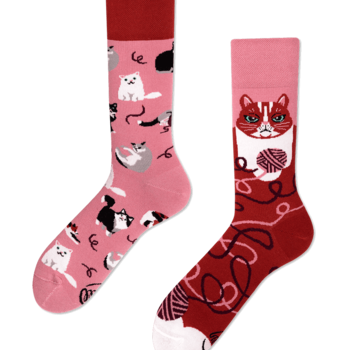 Many Mornings Playful Cat Socks