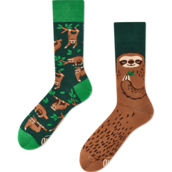Many Mornings Sloth Life Socks