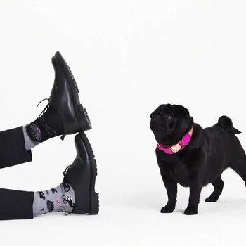 Many Mornings Tiny Little Dogs Socks