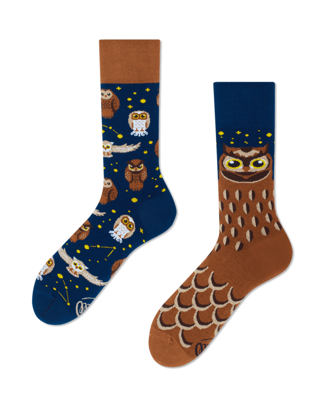 Many Mornings Many Mornings Owly Moly Socks