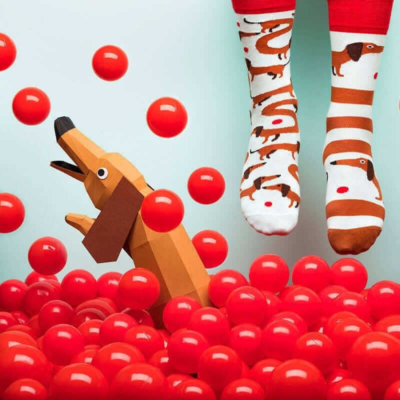 Many Mornings Many Mornings Sausage Dog Socks