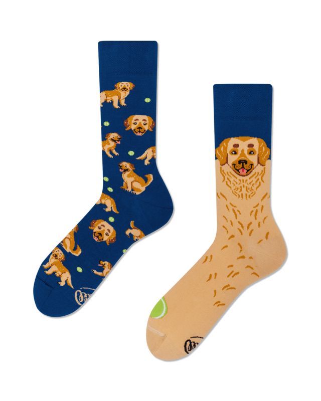 Many Mornings Many Mornings Golden Boy Socks