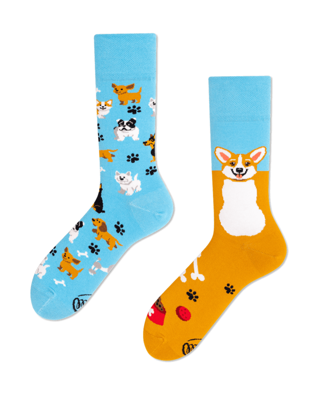 Many Mornings Many Mornings Playful Dog Socks