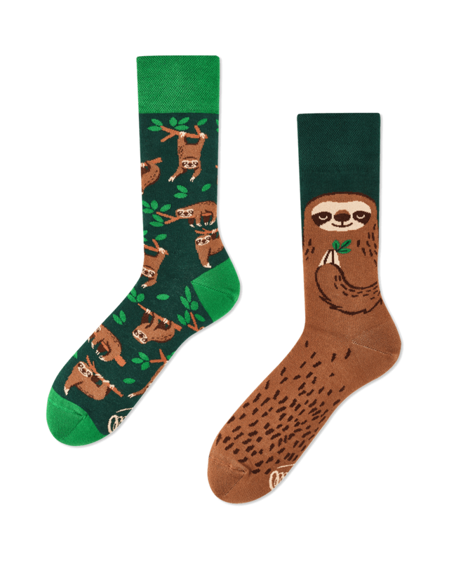 Many Mornings Many Mornings Sloth Life Socks