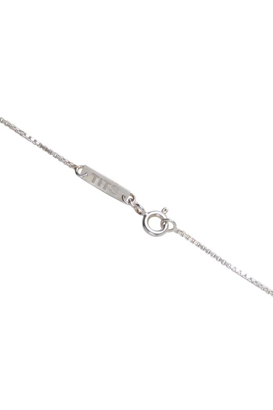 T.I.T.S. TITS Box Chain Ketting Zilver