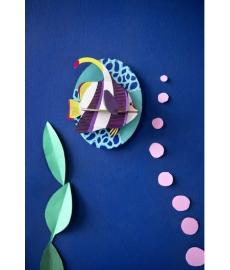 Studio Roof Studio  Roof Marine Angelfish