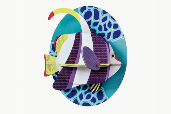 Studio Roof Studio  Roof Marine Angelfish