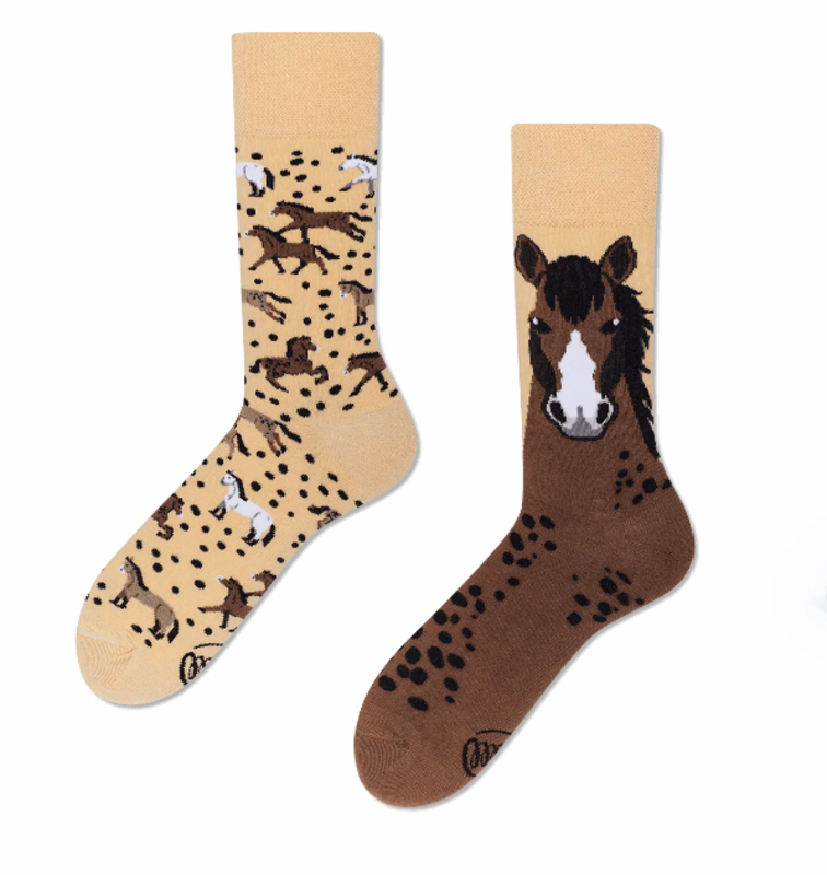 Many Mornings Many Mornings Wild Horse Socks