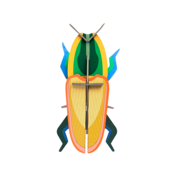 Studio Roof Madagascar Beetle