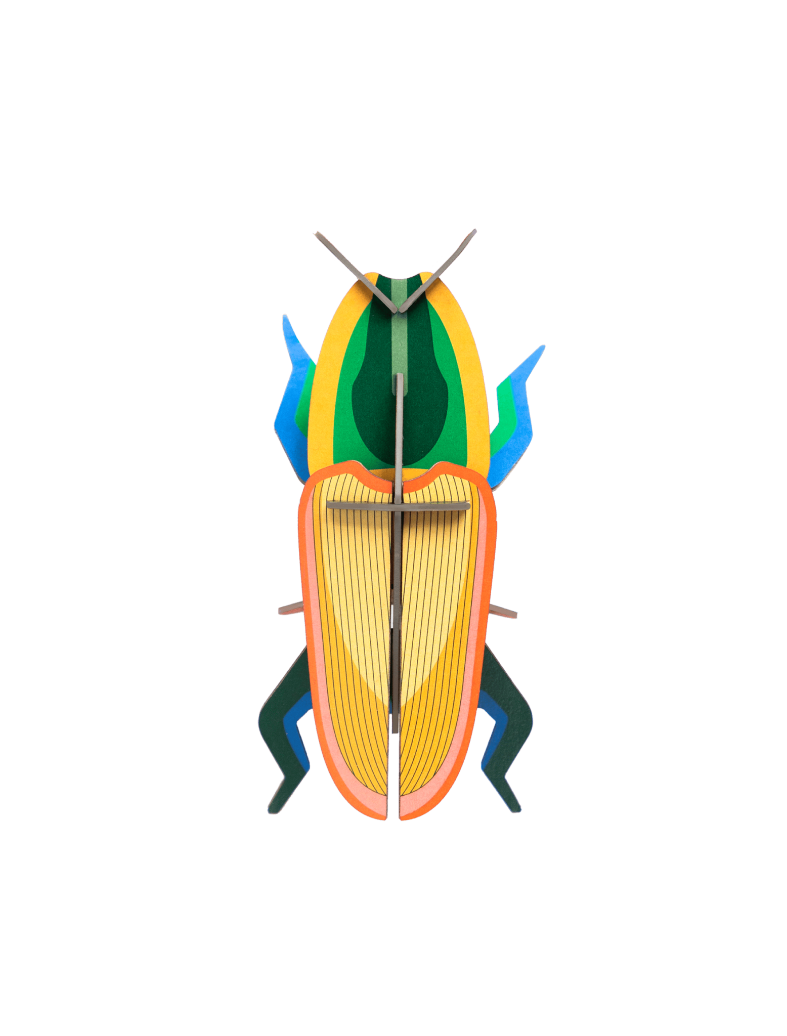 Studio Roof Studio Roof Madagascar Beetle