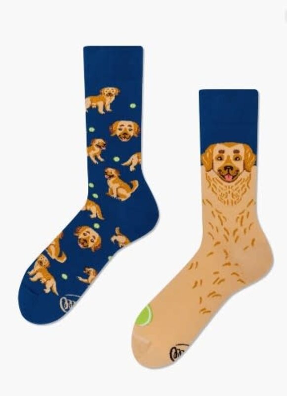 Many Mornings Many Mornings Golden Boy Socks